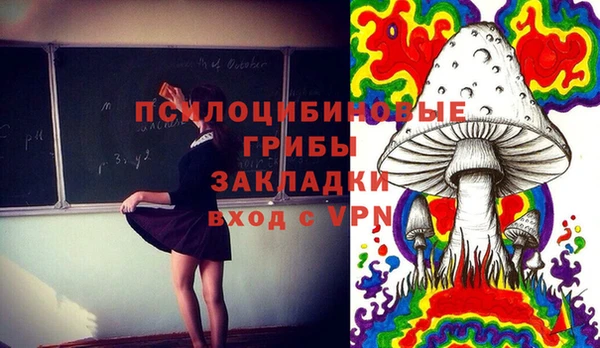 прущие грибы Абаза