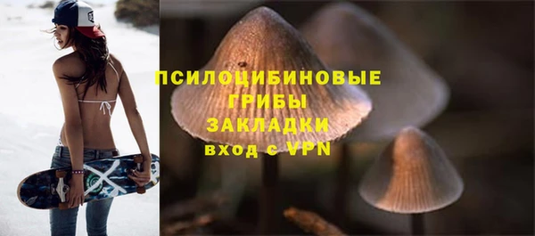 молекула духа Алзамай