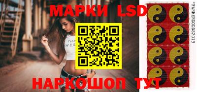 крисы Кулебаки