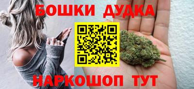 крисы Кулебаки