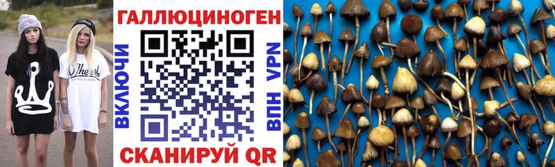 Галлюциногенные грибы Cubensis Усинск