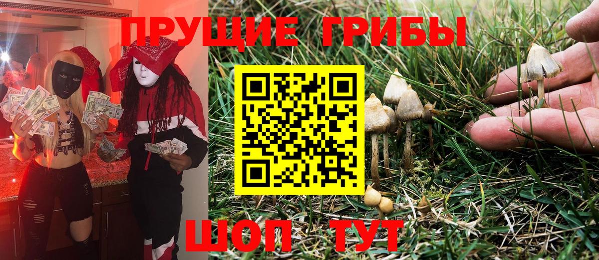 Галлюциногенные грибы GOLDEN TEACHER Усинск